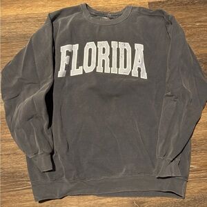 Sunkissed Coconut Blue Gray Florida Sweatshirt